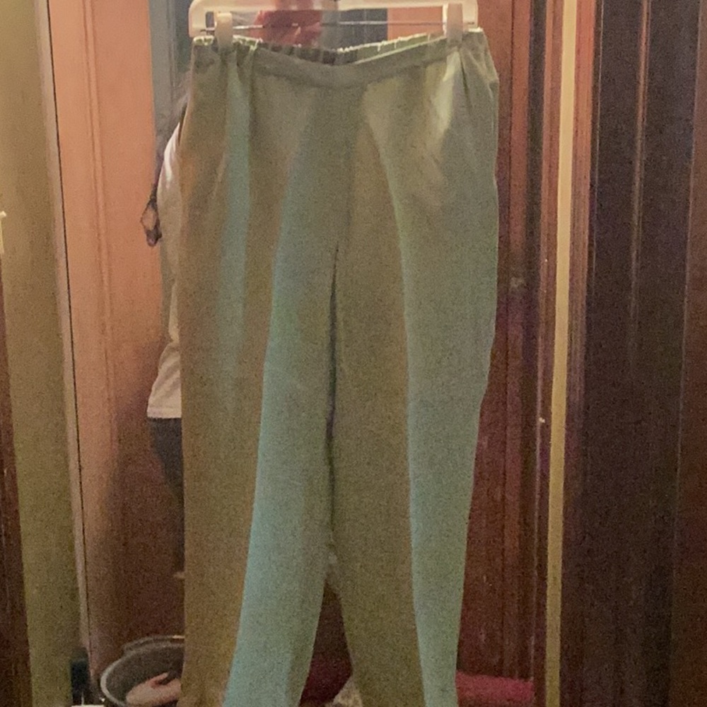 Brand new go silk pants